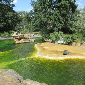 California Sea Lion Exhibit (with wave machine)