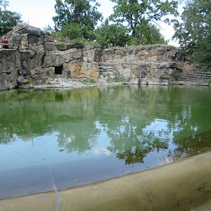 South African Fur Seal Exhibit - devoid of animals?