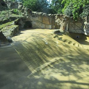 Empty Exhibit? (next to South African Fur Seals)