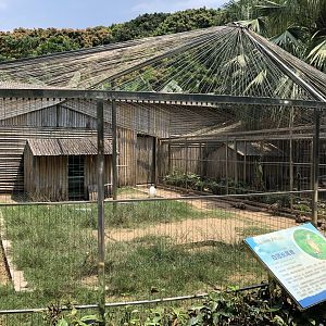 Reeve’s Pheasant Exhibit