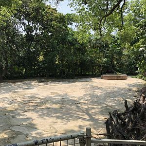 Reeve’s Muntjac Exhibit