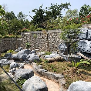 Giant Anteater Exhibit #1