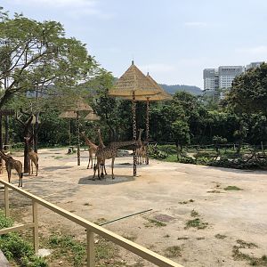 Giraffe Exhibit