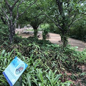 Domestic Pony Exhibit