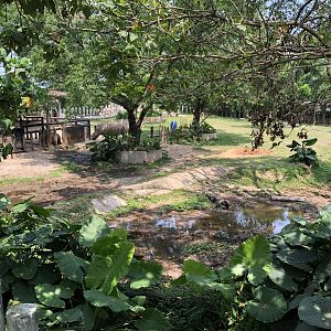 White Rhinoceros Exhibit