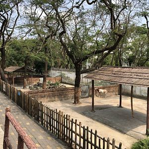 Scimitar-Horned Oryx Paddocks