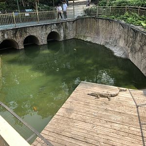 Siamese Crocodile Exhibit