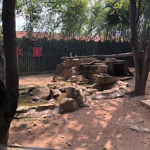Capybara Exhibit