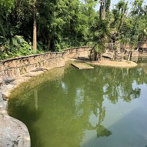 Siamese Crocodile Exhibit