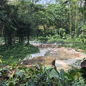 Second Flamingo Pond