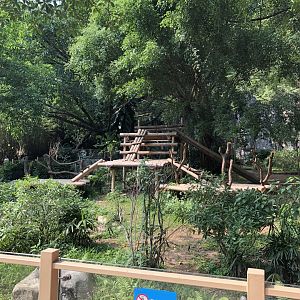 Giant Panda Outdoor Exhibit