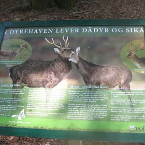 Vejle Dyrehave - Information sign