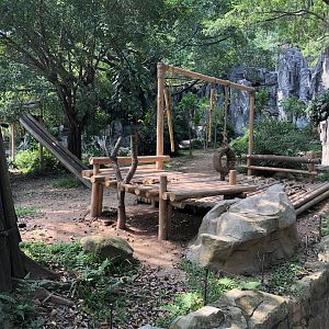 Giant Panda Outdoor Exhibit