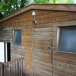 Pelican house, 2019-05-25