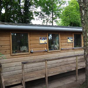 Terrarium house, 2019-05-25