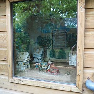 Domestic mouse exhibit, 2019-05-25