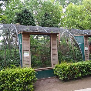 Common squirrel monkey and Victoria crowned pigeon exhibit, 2019-05-25