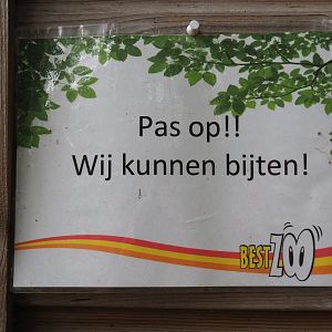 Watch out, we can bite sign, 2019-05-25