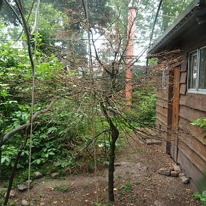 Common squirrel monkey and Victoria crowned pigeon exhibit, 2019-05-25