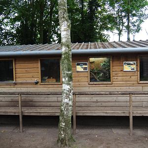 Terrarium house, 2019-05-25