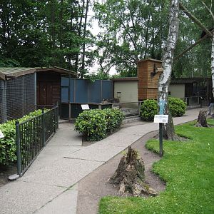 Park view with Chacoan mara/Satyr tragopan, Palawan binturong and Asian small-clawed otter exhibits, 2019-05-25