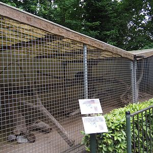 Chacoan mara and Satyr tragopan exhibit, 2019-05-25