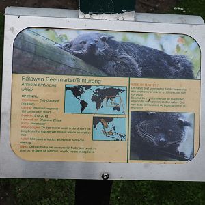 Sign Palawan binturong, 2019-05-25
