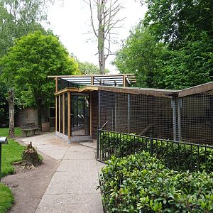 Park view with Chacoan mara/Satyr tragopan exhibit and parrot aviary, 2019-05-25