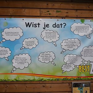 Did you know animal facts banner, 2019-05-25