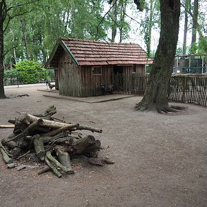 Petting zoo paddock with pygmy goats, chickens and crowned cranes, 2019-05-25