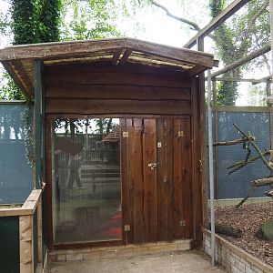Banded mongoose barn, 2019-05-25