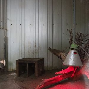 Banded mongoose indoor housing, 2019-05-25