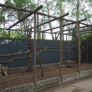 Ring-tailed lemur exhibit, 2019-05-25