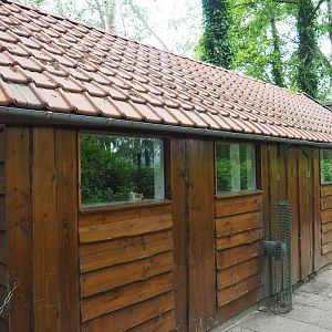 Ring-tailed lemur house, 2019-05-25