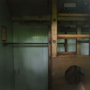 Indoor housing ring-tailed lemurs, 2019-05-25