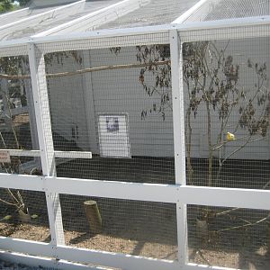 Skyttehushaven - Finch aviary