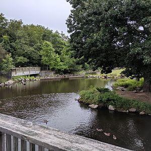 Bison/Waterfowl Exhibit