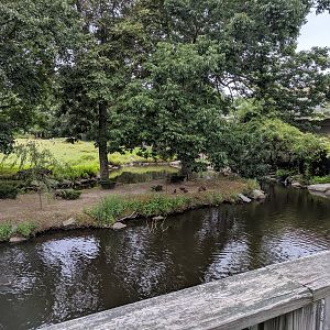 Bison/Waterfowl Exhibit