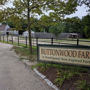 Buttonwood Farm