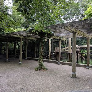 Bobcat and Cougar Exhibits