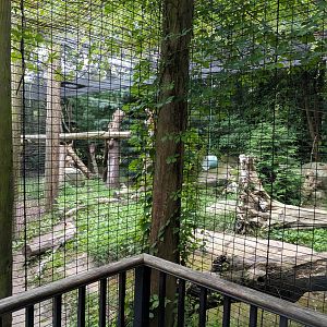 Cougar Exhibit