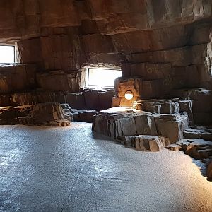 Visitor-pathway with viewing-windows into Gelada-outdoor-enclosure