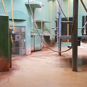 One of the indoor-enclosures