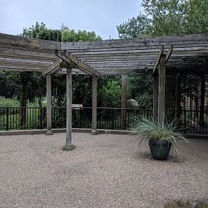 Coyote Exhibit