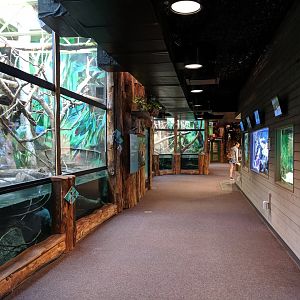 Rainforests, Rivers and Reefs