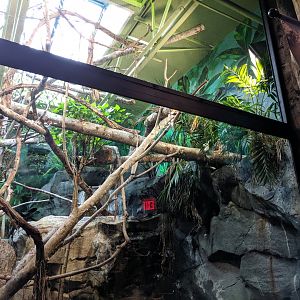 Colombia Exhibit