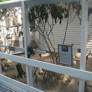 Skyttehushaven - Budgie aviary