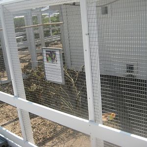 Skyttehushaven - Lovebird aviary