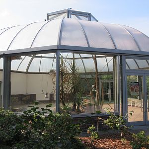 Aldabra Tortoise House