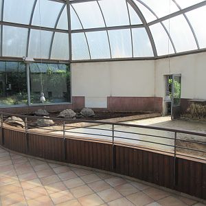 Aldabra Tortoise House